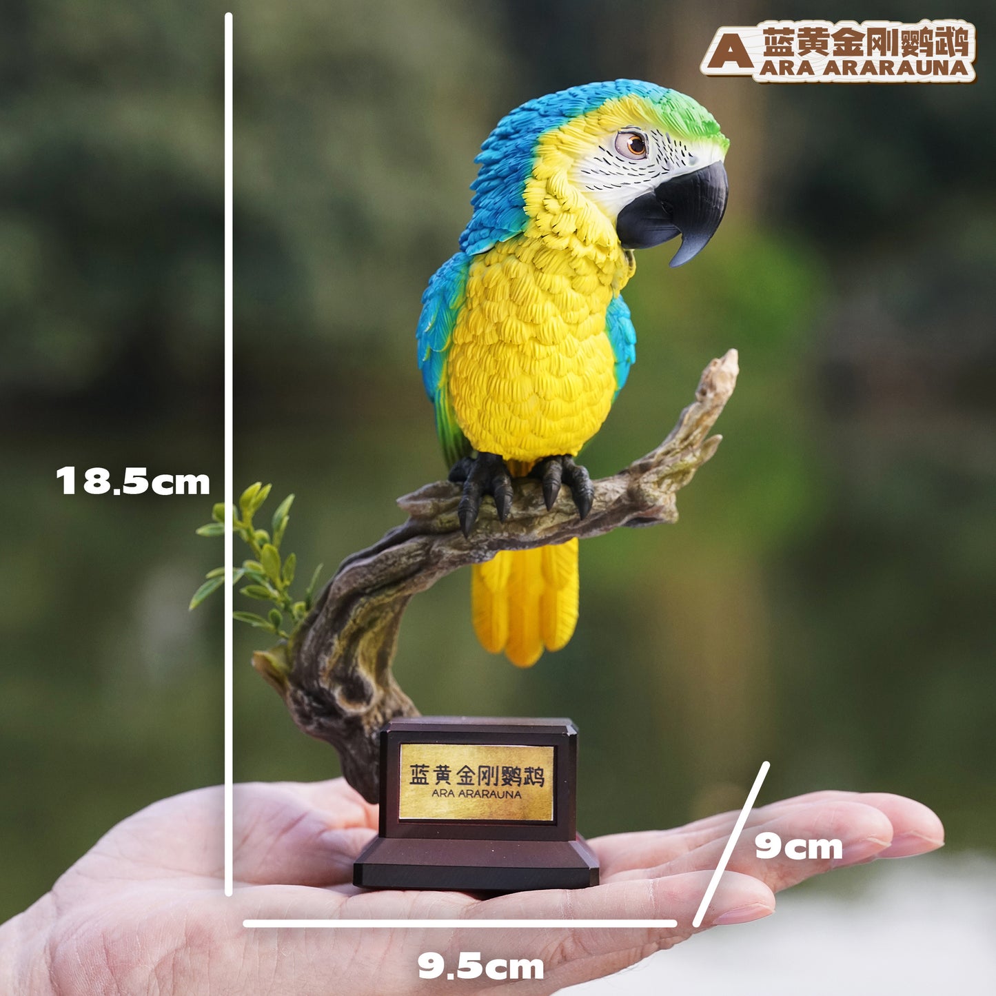 Animal Bang Bang - Bird Series Macaw [PRE-ORDER]